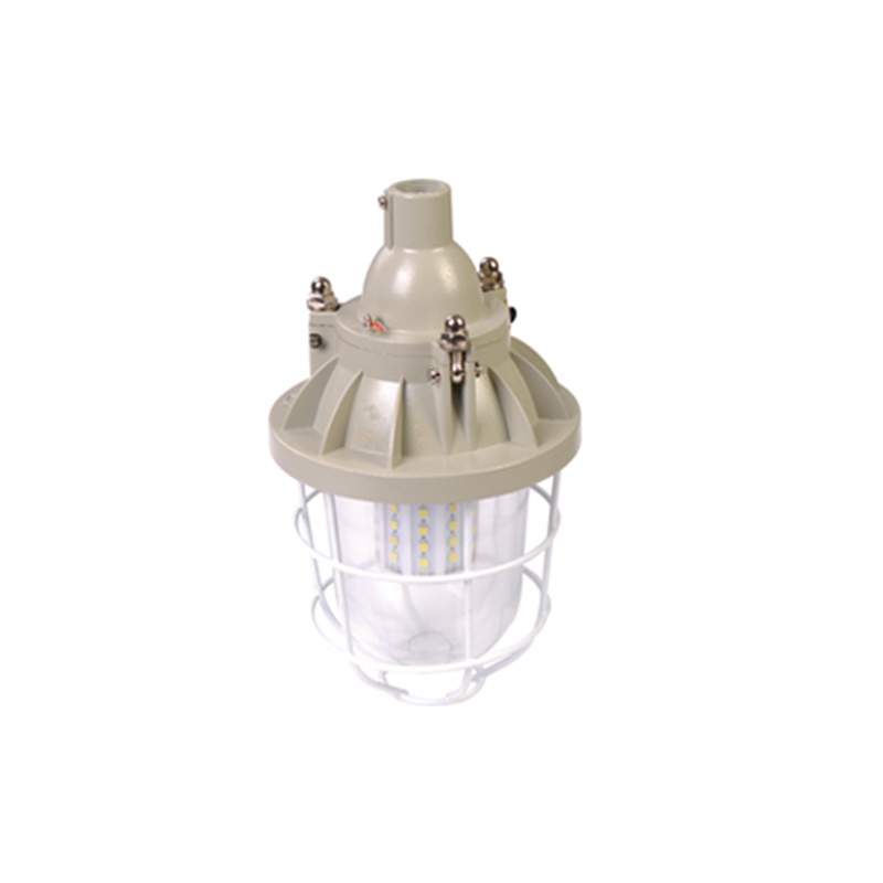 隔爆型LED防爆玉米灯 20W 30W